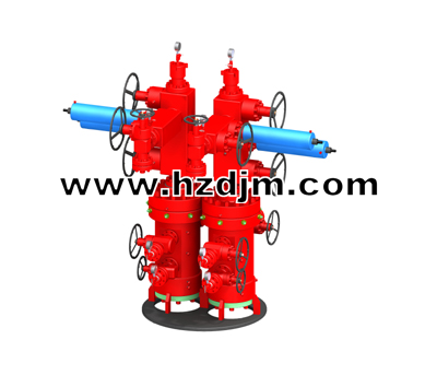 Single tube double well wellhead